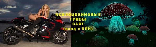 индика Михайлов