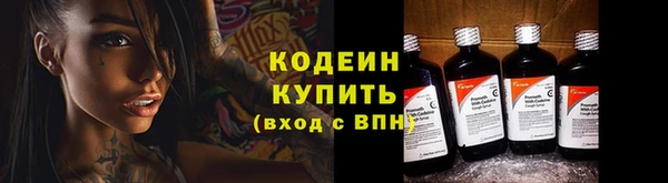 индика Михайлов