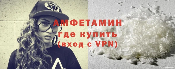 индика Михайлов