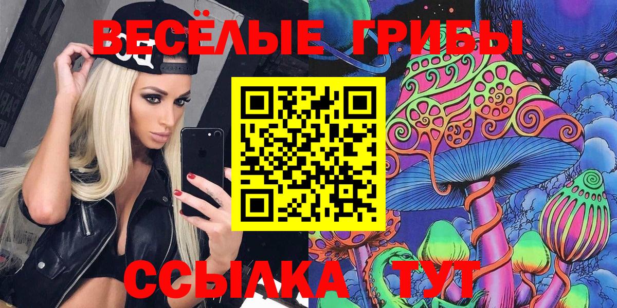 Псилоцибиновые грибы MAGIC MUSHROOMS Россия