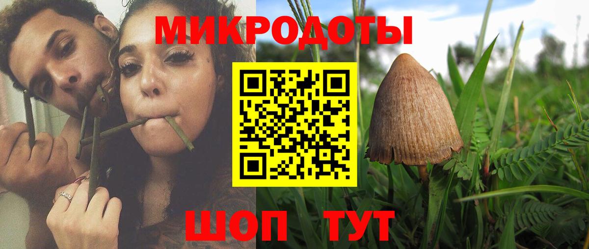 Россия  Галлюциногенные грибы GOLDEN TEACHER  Вход с VPN 